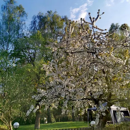 Farm stay Agroturystyka Lesne Zacisze Zlotow (Greater Poland)